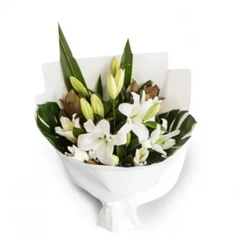 Νάινχ Βάν λουλούδια- Φωτεινότερη ημέρα Λουλούδι Παράδοση