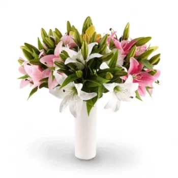 Lúng Sún 꽃- 글래머러스 꽃 배달