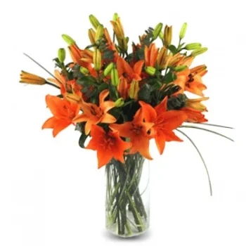 fiorista fiori di Thanh Hoa- Vibrazioni positive Fiore Consegna