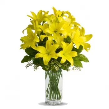 Σωκ Τράνγκ λουλούδια- Κρυφός θαυμαστής Λουλούδι Παράδοση