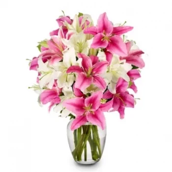 ישי וין פרחים- לצחוק בפרחים פרח משלוח