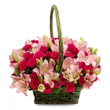 דארי וורן פרחים- יופי ללא תחרות פרח משלוח