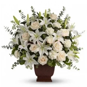 투옌 쿠앙 꽃- 사랑의 순수성 꽃 배달