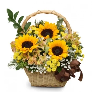 דארי וורן פרחים- הפיצוץ הכי יפה פרח משלוח