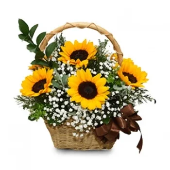 Vietnam flowers  -  Sparkling  Basket Flower Delivery