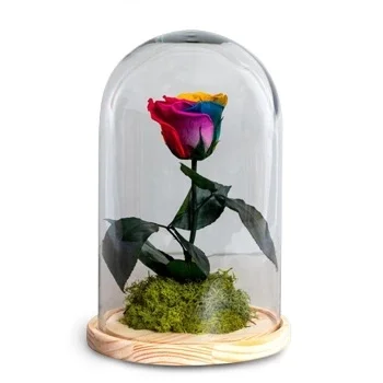 알 칼라 라 레알 꽃- 기억에 남는 날 꽃 배달