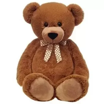 Marbella Online kukkakauppias - Ruskea Teddy Bear Kimppu