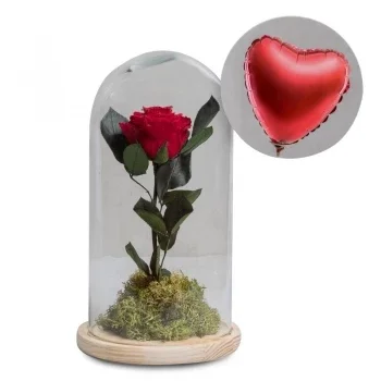 Vitoria-Gasteiz flowers  -   Accept Love Flower Delivery