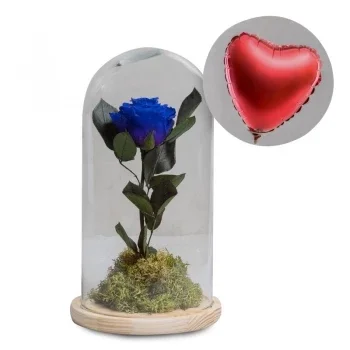 بائع زهور برج الهواريين- أقل الرومانسية زهرة التسليم