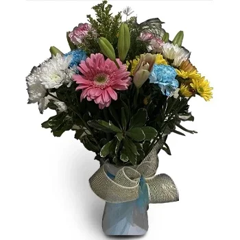 סנט תומאס פרחים- שמיים כחולים פרח משלוח