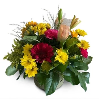 סנט לוסי פרחים- תענוג תוסס פרח משלוח