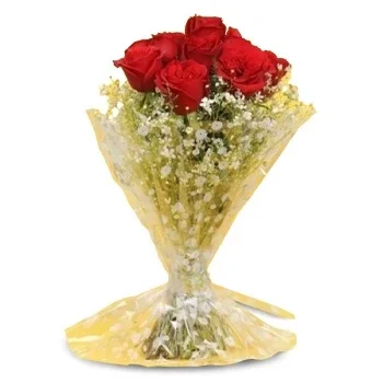 flores de Dhulikhel- Simplesmente elegante Flor Entrega