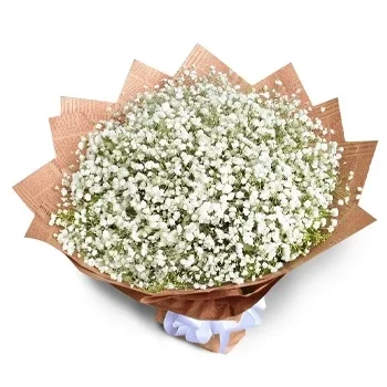 flores de Dangisharan- Ótima impressão Flor Entrega