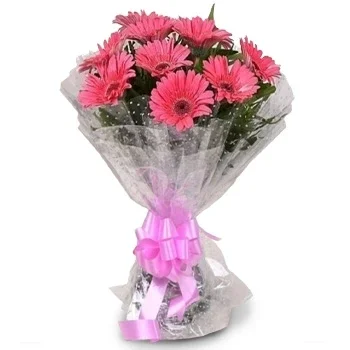 Джалешвар цветя- Красиви розови Цвете Доставка