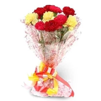 Bhanu Blumen Florist- Reine Glückseligkeit Blumen Lieferung