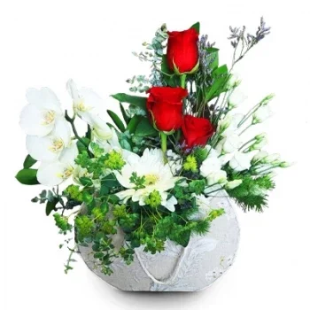 אלקפאצ'ה פרחים- אמונה ואהבה פרח משלוח