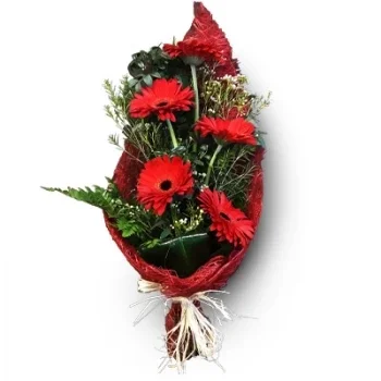 flores Alcains floristeria -  Sentimientos puros Ramos de  con entrega a domicilio