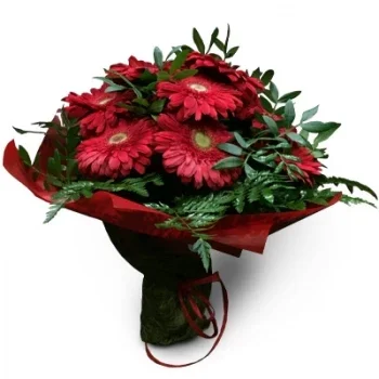 אגואירו פרחים- בשבילך פרח משלוח