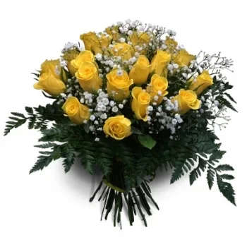 אבולירה פרחים- יופי רך פרח משלוח