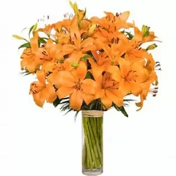 Bendals / Emanuel / Greencastle flori- frumos Floare Livrare