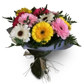 fiorista fiori di Faro- Colorato Fiore Consegna