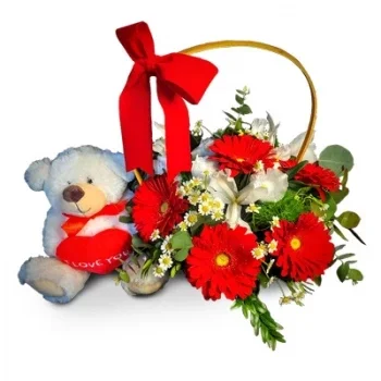 אפונסוס פרחים- מתנה משמחת פרח משלוח