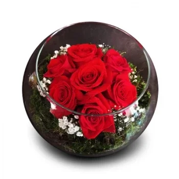Alcantarilha e Pera פרחים- אהבה בעלי כותרת פרח משלוח