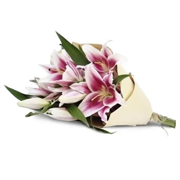 Gaur (Gaur) kwiaty- Słodkie wibracje Kwiat Dostawy