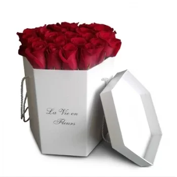 אגואירו פרחים- ורד תשוקה פרח משלוח