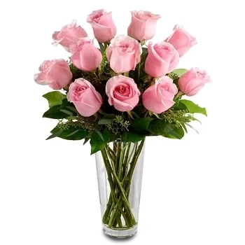 Abromiskes Blumen Florist- Rosa und Glanz Blumen Lieferung