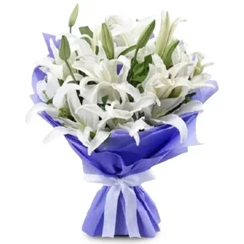 Dhobini Blumen Florist- Zartheit und Schönheit Blumen Lieferung