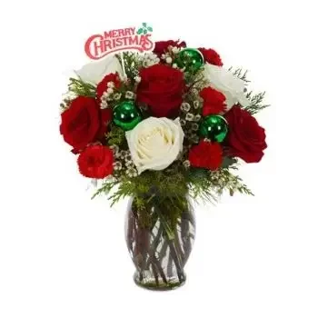 بائع زهور السافانا البحر- عيد الميلاد كلاسيك زهرة التسليم