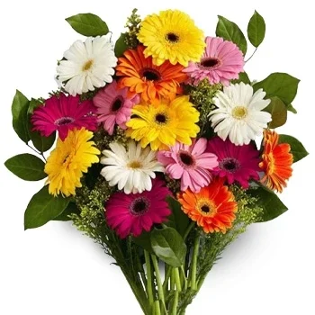 Jhor Mahankal kwiaty- Różne Kwiaty Kwiat Dostawy