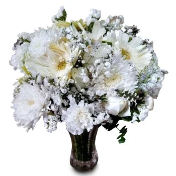 Dhanushadham kwiaty- Atrakcyjne Kwiaty Kwiat Dostawy