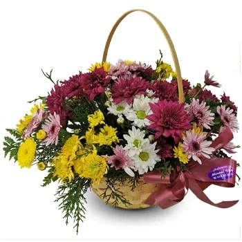 بائع زهور بارانكو سيكو- الأزهار الغامضة زهرة التسليم