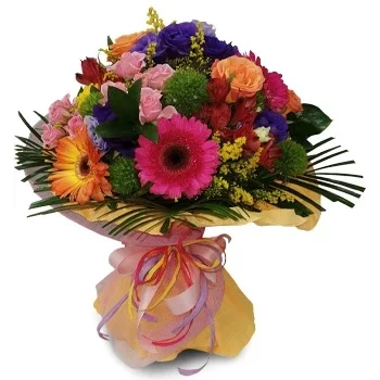 بائع زهور El Goro- ألوان السعادة زهرة التسليم