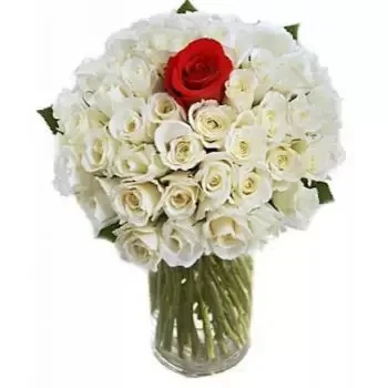 Al-Marj kvety- Myslím na teba Kvet Doručenie