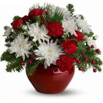 Santa Ines blomster- Scarlet Beauty Blomst Levering