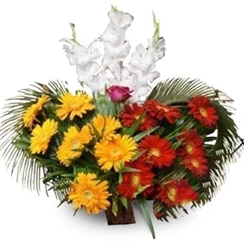 Dharan kwiaty- Wspaniały kosz Kwiat Dostawy