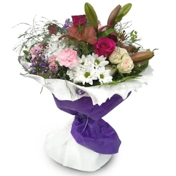 بائع زهور بارانكو سيكو- الزهور السحرية زهرة التسليم