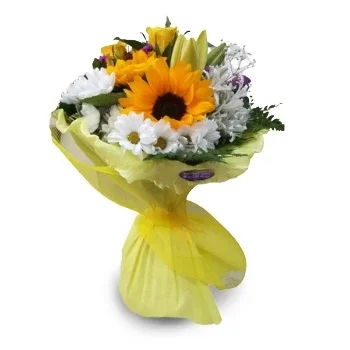 بائع زهور بارانكو سيكو- المودة الزهرية زهرة التسليم