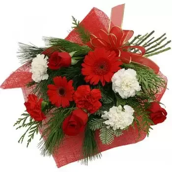 Santa Gertrudis-virágok- Vörös szépség Virág Szállítás