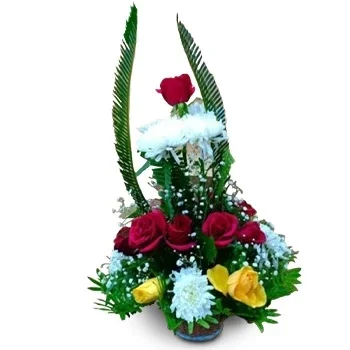 Baragadhi kwiaty- Warto poczuć Kwiat Dostawy