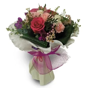 بائع زهور بارانكو سيكو- الهدية المثالية زهرة التسليم