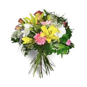 Gran Canaria flowers  -  Sensation Flower Delivery