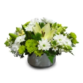 بائع زهور بارانكو سيكو- نقاء زهرة التسليم