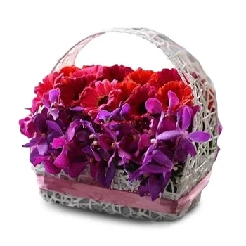 Νάινχ Βάν λουλούδια- Σαλπάρετε Λουλούδι Παράδοση