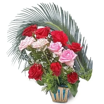 Bhirkot kwiaty- Namiętne płatki Kwiat Dostawy