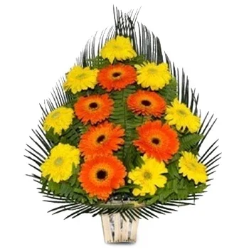 flores de Gulmi Darbar- Arranjos Significativos Flor Entrega