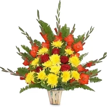flores de Dilashaini- Balde Especial Flor Entrega